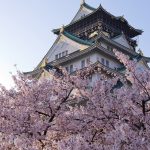 大阪城公園の桜や梅の見頃はいつ?アクセスや安い駐車場も調べてみた!