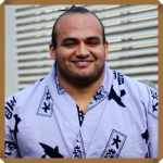 大砂嵐の無免許事故の現在の状態は？結婚や休場明けについても気になる！